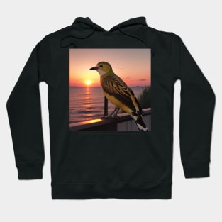 bider in sunset color full Hoodie